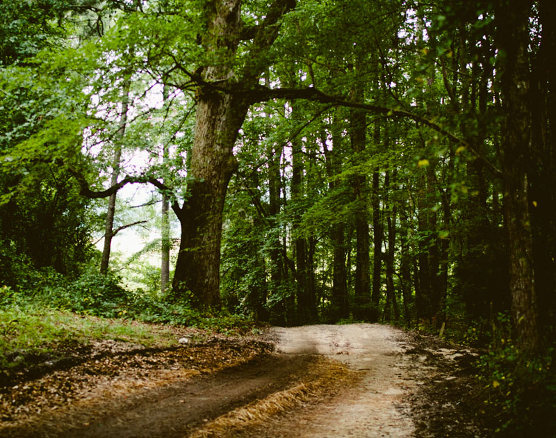 ddos在线攻击平台